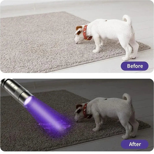 UV Detection Pro™ – 365nm Portable Ultraviolet Flashlight